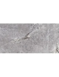 Aesthetica Unico Grey (60×120) Matinis
