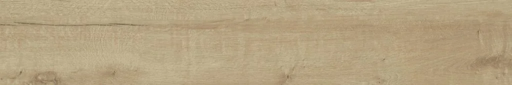 Betula