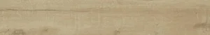 Betula