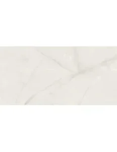 Onix Pearl (59,8×119,8) Matinis