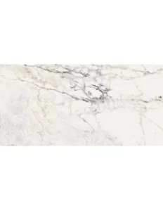 Aesthetica Paonazzetto (60×120) Blizgus, Poliruotas