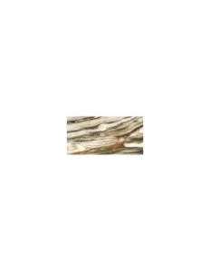 The Room Calacatta Oyster (60×120) Matinis