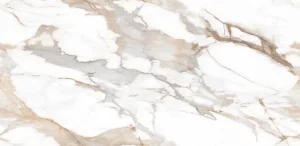 Melita Carrara (120×60) Blizgus, Poliruotas, Raštas Prasitęsia